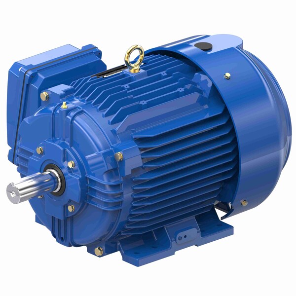 Severe Duty Motors, 10 HP, 3 phase, 1800 RPM, 230/460 V, 215T Frame, TEFC